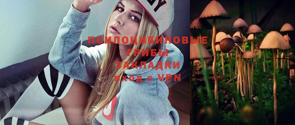 дживик Баксан