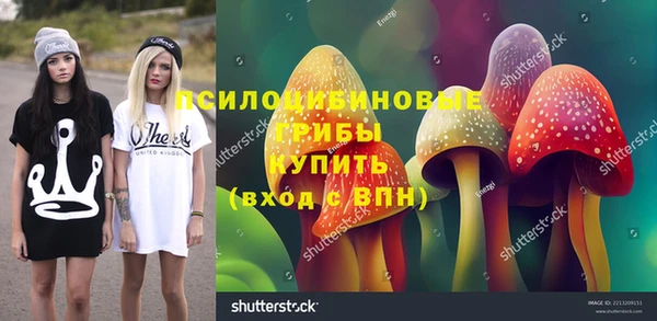 мдпв Балахна